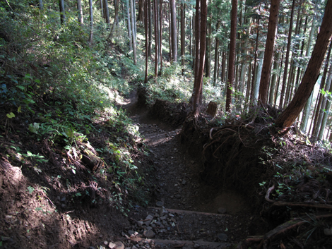 20151116hike (352)